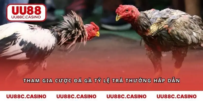 Hội viên tham gia với tỷ lệ trả thưởng hấp dẫn