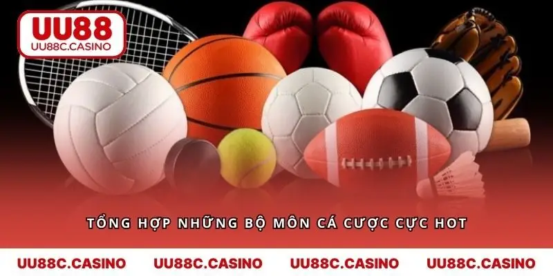Tổng hợp những bộ môn cá cược cực hot