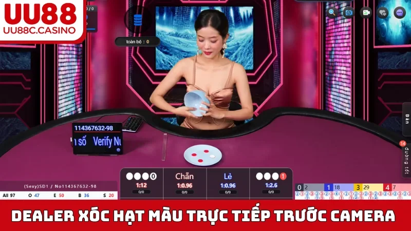 Dealer xóc hạt màu trực tiếp trước camera